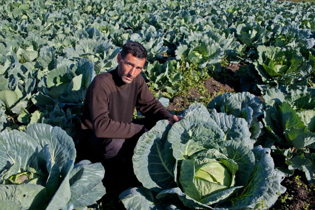 10 Facts About Hunger in Azerbaijan