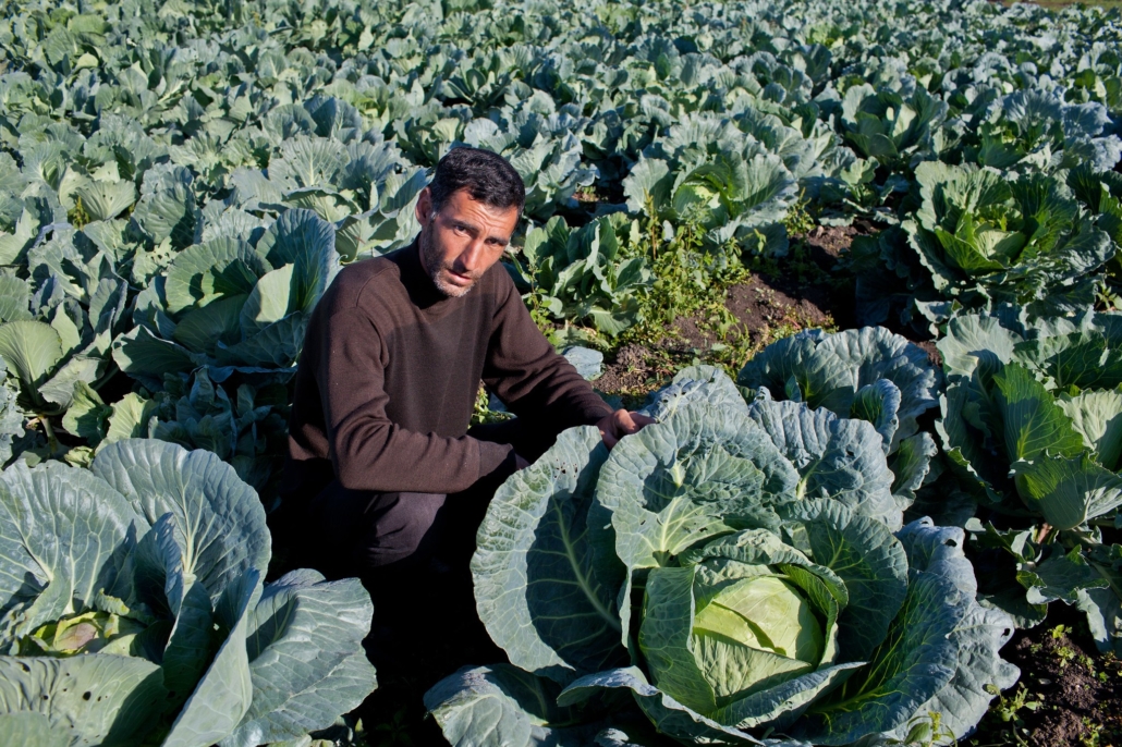 10 Facts About Hunger in Azerbaijan