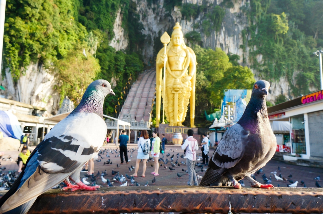 10 Facts About Life Expectancy in Malaysia