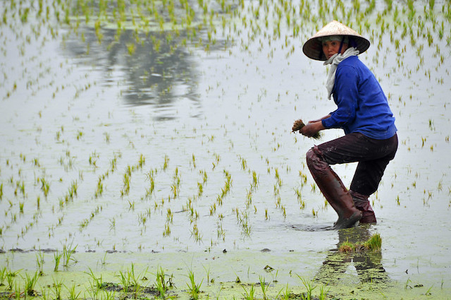 10 Facts About Water Quality in Asia