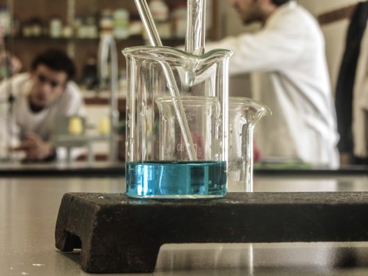 Spinal Cord Injury Research