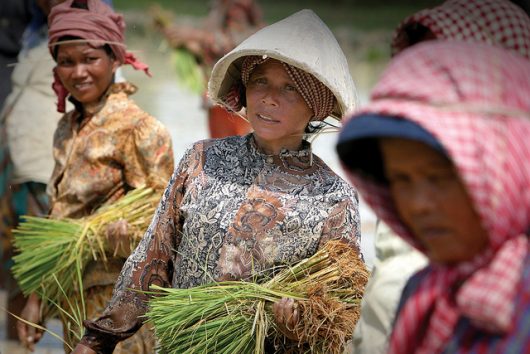 Ghosts of War: Healing Laos with UXO Jewelry