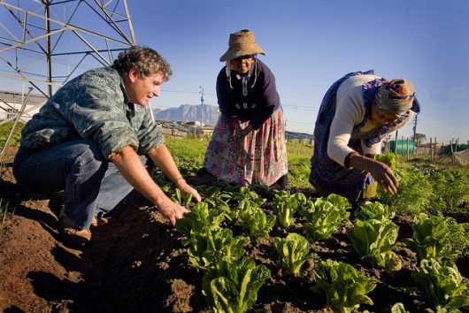Top 10 Facts About Hunger in Australia