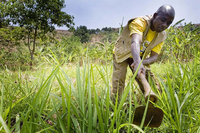 State of International Food Insecurity