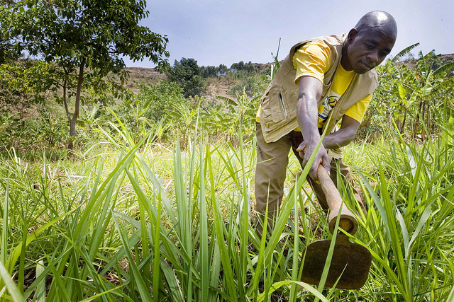 State of International Food Insecurity