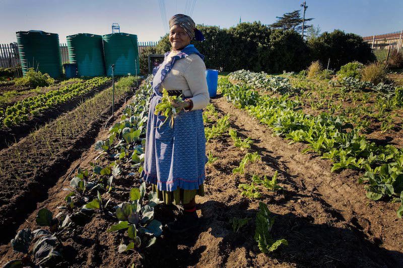 Reduce Poverty and Hunger Reduce Poverty and Hunger