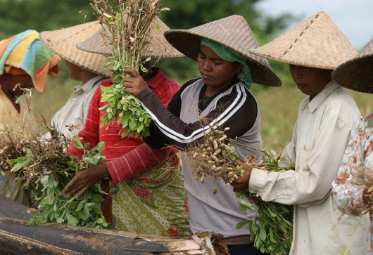 Organic Farming and Poverty Reduction