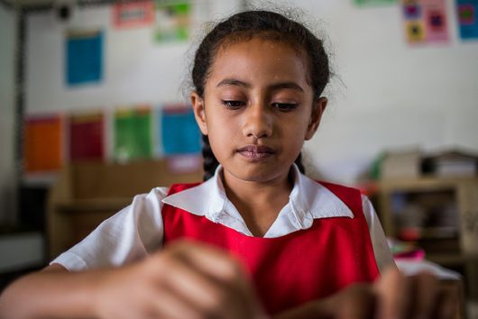 Top 5 Reasons for School Dropouts in Tonga