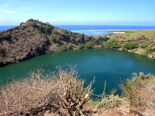 Diseases in Comoros