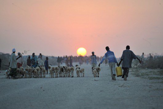 As Nutrition Improves, Developing Countries Get Smarter