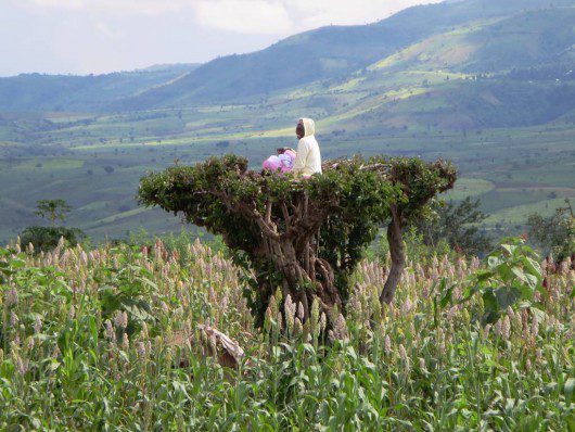 Ethiopians embrace sanitary improvements