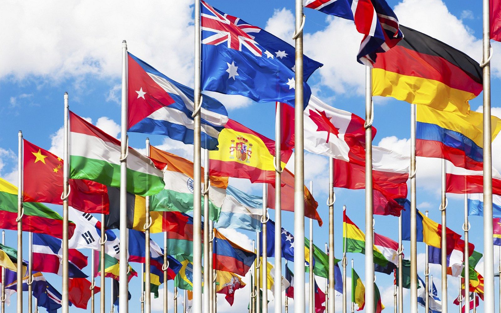 UN flags