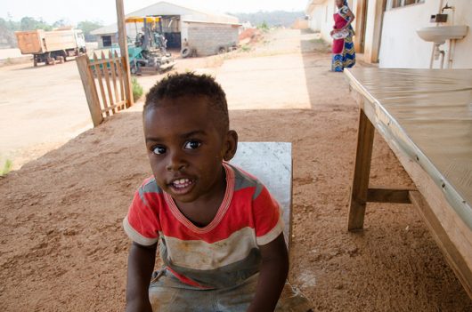 Organizations Fighting Hunger in Cameroon