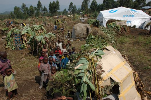 Kivu Specialty Coffee Project