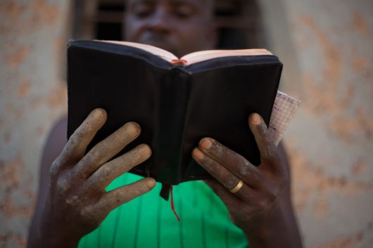Rwandan Genocide