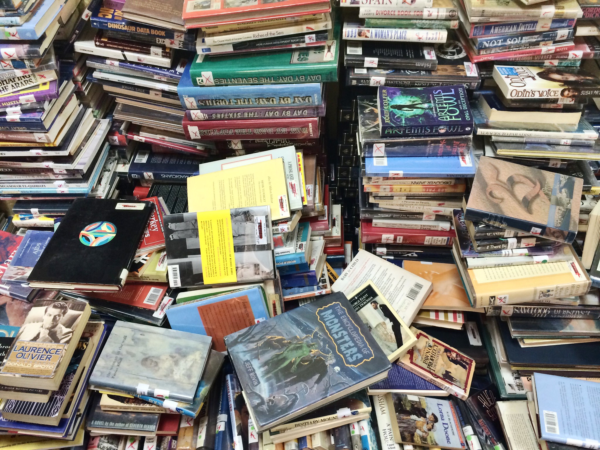 Novels About Global Poverty