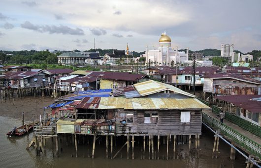 Fighting Diseases in Brunei