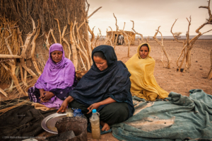 Women Empowerment Organizations in Sub-Saharan Africa