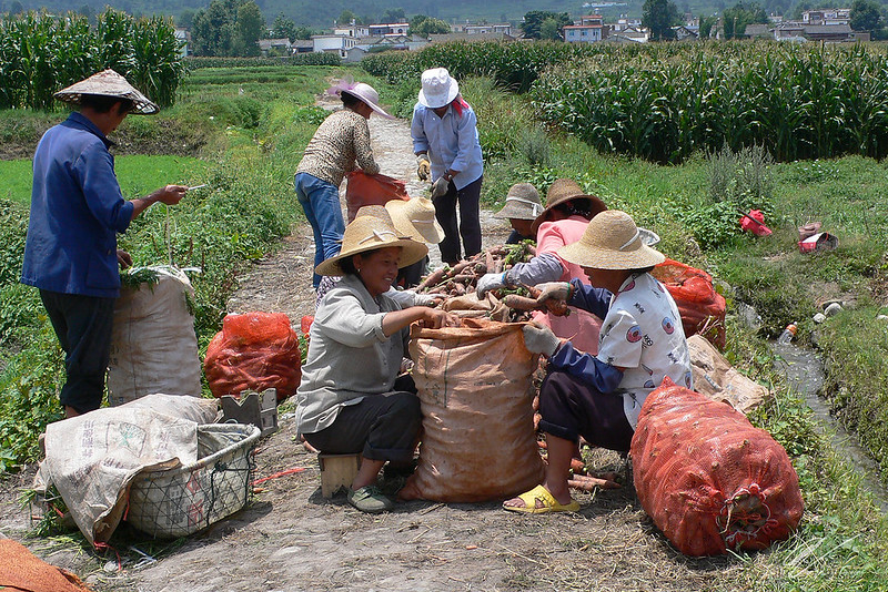 China’s Agricultural Sci-tech