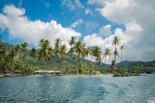 Sustainable Agriculture in St. Lucia