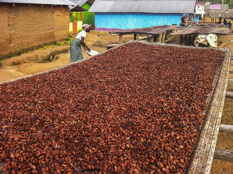 Ghana Cocoa Industry