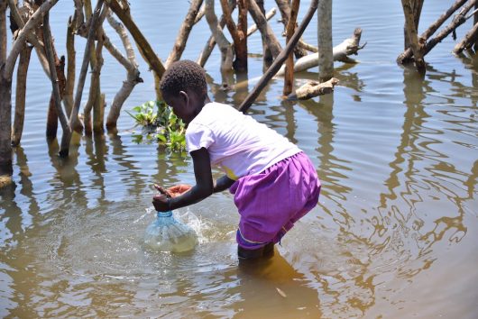 Watershed Management