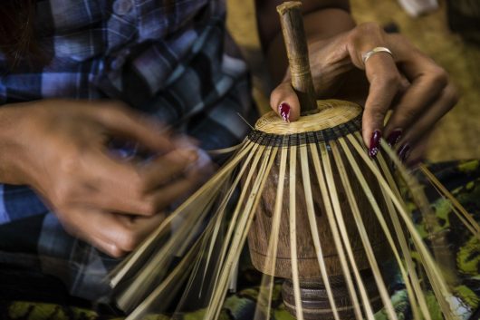 Bamboo for Sustainable Development