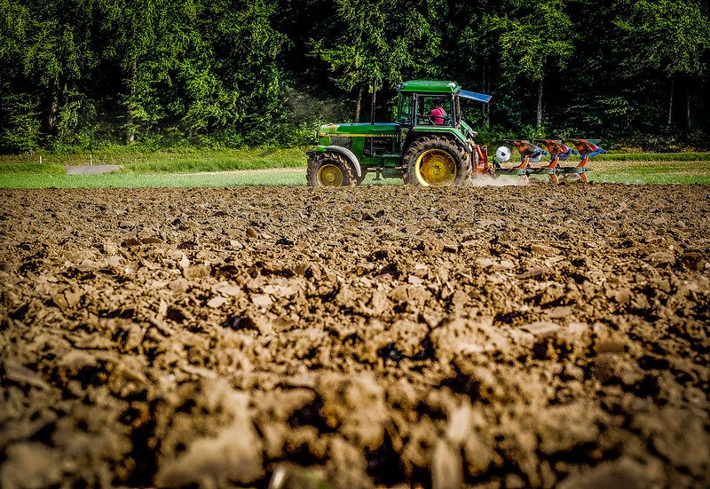 AI Food Insecurity