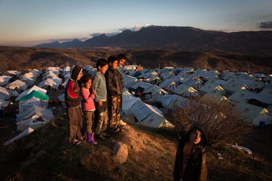 refugee statistics