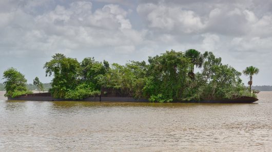 Why Sanitation Is Key to Water Quality in Guyana