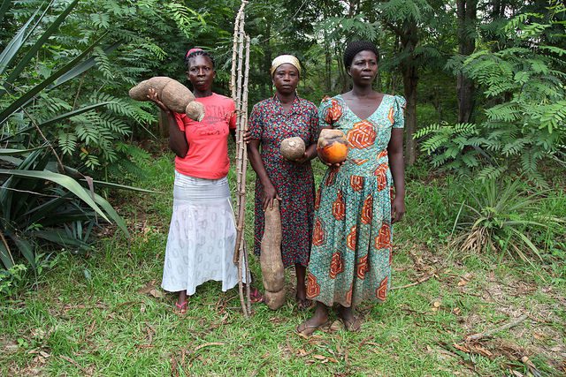 The Importance of Women and Girls in Agriculture