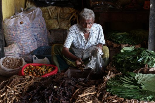 Growth and Job Creation in Sri Lanka