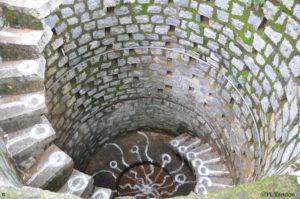 A Million Wells for Bangalore: Restoring Water to the Indian City