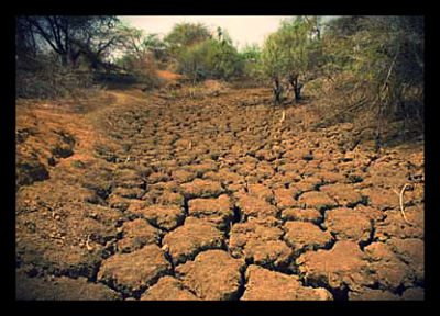drought_famine_poverty