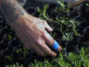 The Search for Sustainable Materials