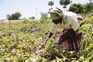 Fighting Global Poverty