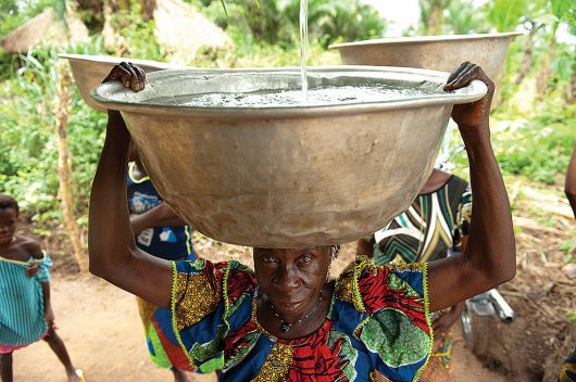 Sanitation in Developing Countries