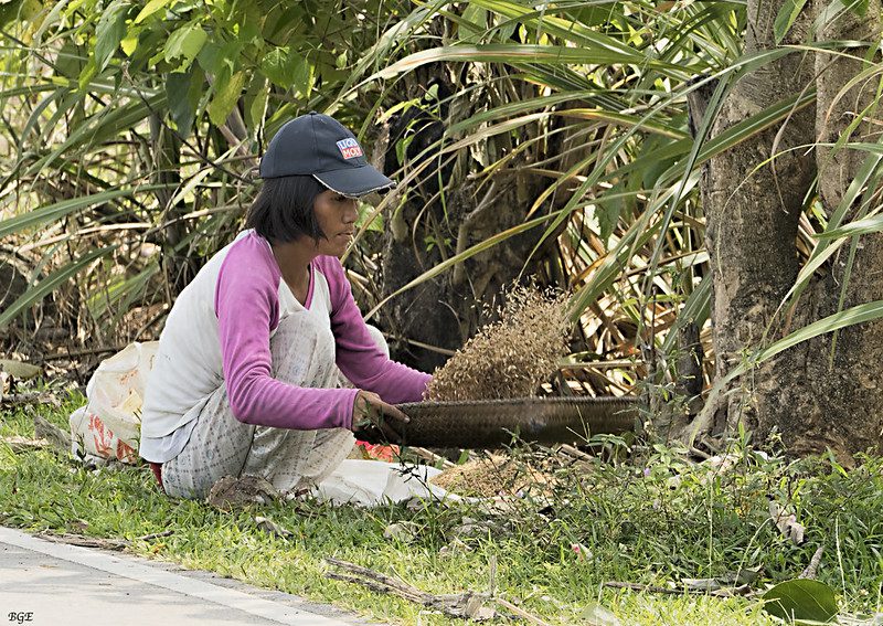Sustainable Land Management Practices