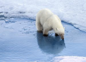 Free Oxford Course on Climate Change