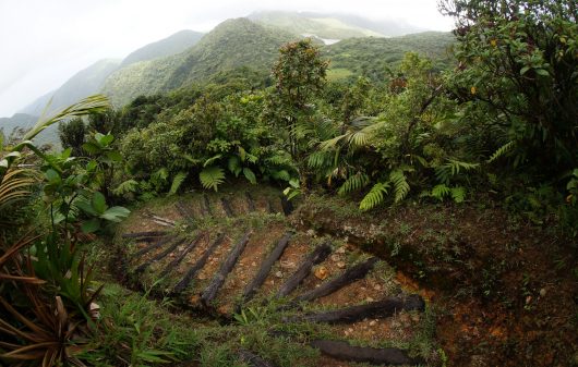 Hunger in Dominica