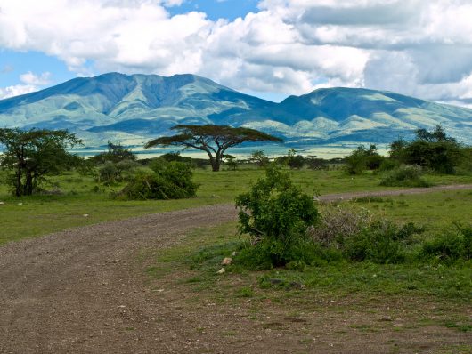 Sustainable Agriculture in Tanzania