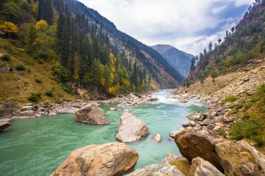 Sustainable Agriculture in Pakistan