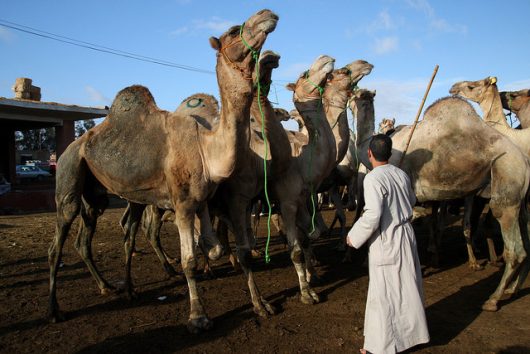 How the Media Misrepresents Egypt