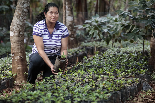 Sustainable Agriculture in Honduras