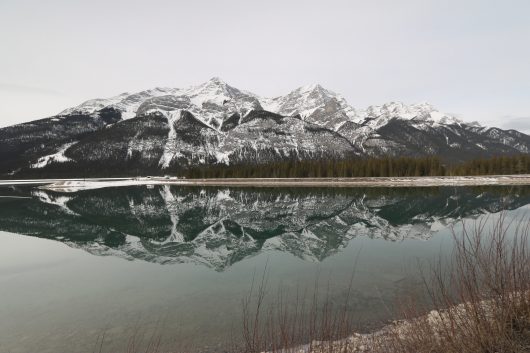 Concerns for Human Rights in Canada