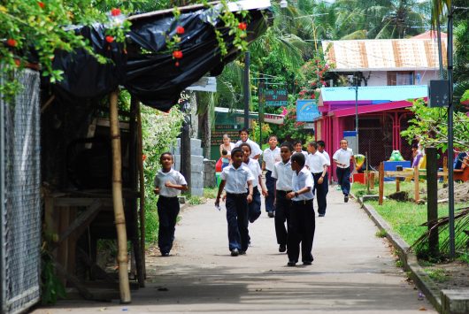 Education in Dominica