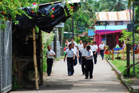 Education in Dominica