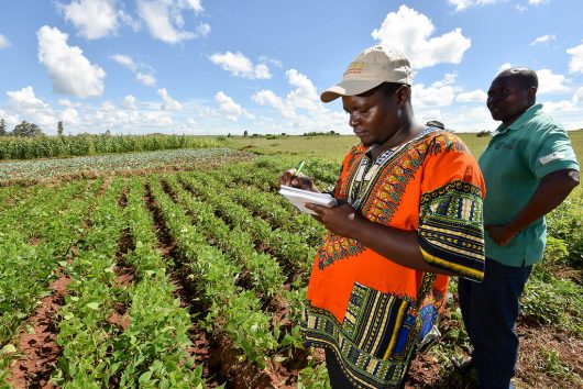 Hunger in Mozambique