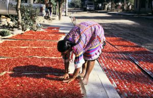 USAID Programs in Mexico