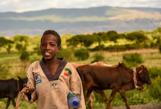 Welfare Programs in Ethiopia
